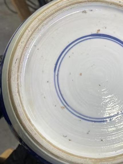 清·康熙青花罐真伪鉴定2024年11月09日-唐珍收藏